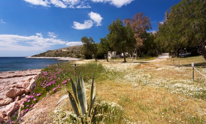 Camping Βάρκιζας Camping,Βάρκιζας,Νομαρχία,Ανατολικής,Αττικής,Δήμος,Βάρης,Βούλας,Βουλιαγμένης,NEA EIDHSES -ΝΕΑ ΕΙΔΗΣΕΙΣ ΕΛΛΑΔΑ ελλάδα, media, νέα κρίση,on line, νοτος, νετ, notos,net, notosnet,Βούλα,Βουλιαγμένη, Βάρη, ΒΒΒ, 3Β, βαρκιζα,παραλιακή, παραλία, νότια, προάστια, άρθρα,