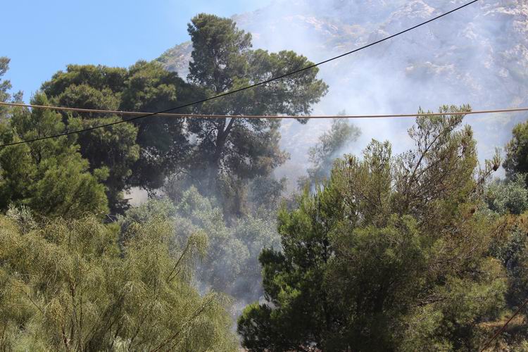 Μεγάλη φωτιά στη Βουλιαγμένη (φωτο),NEA EIDHSES -ΝΕΑ ΕΙΔΗΣΕΙΣ ΕΛΛΑΔΑ ελλάδα, odhgos,agoras,οδηγος αγορας,media, νέα κρίση,on line, νοτος, νετ, notos,net, notosnet,Βούλα, Βουλιαγμένη, Βάρη, ΒΒΒ, 3Β, βαρκιζα,παραλιακή, παραλία, νότια, προάστια, άρθρα, Δημοκρατία,ειδήσεις,